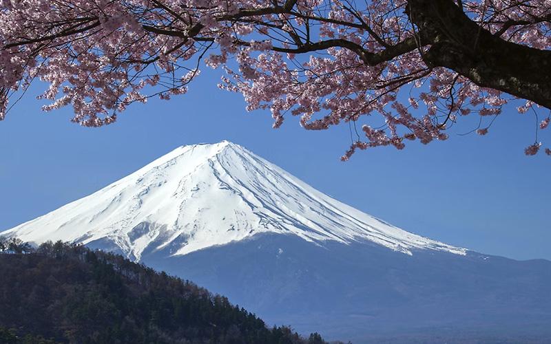 日本护照